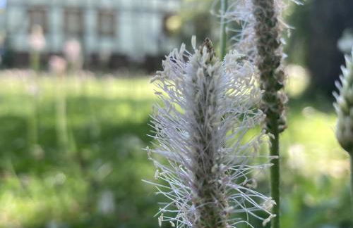 Poppenhäuser Mühle - Foto 4