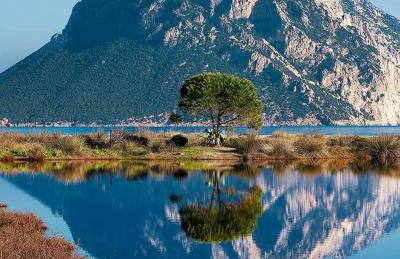 Vista Tavolara - Sardegna Holiday Apartment - Photo 56