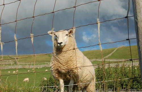 Salt Marsh Apartment - Foto 38