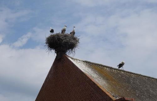 Havelhof-Nitzow - Foto 25