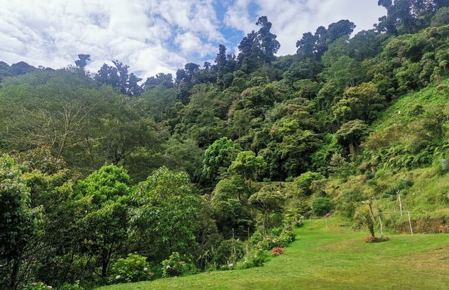 Millar de Aves - Foto 12