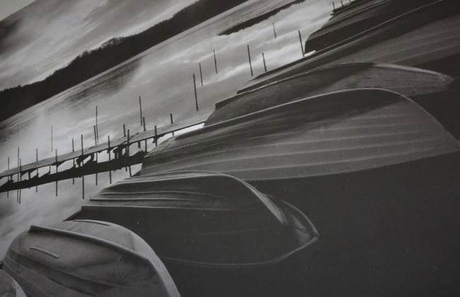 Belhaven House - Hamilton - Photo 23