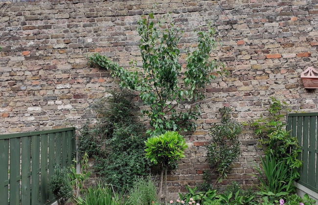 East London Apartmentsleeps2-garden-transportlinks - Foto 13