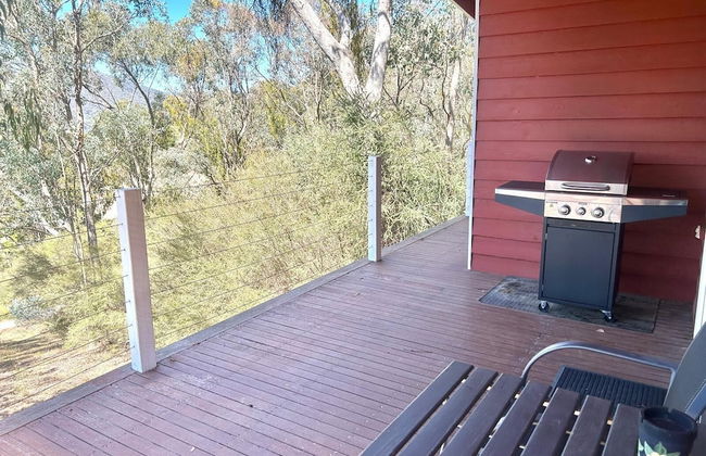 The Black Sparrow - Photo 39