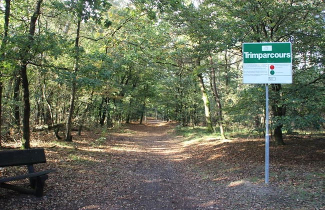 Luxury Villa in De Pier With Sauna - Photo 33