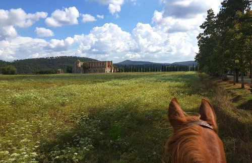 Hotel Rifugio Prategiano - Foto 8