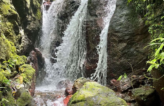 Trilha pela reserva Rainmaker - Foto 2