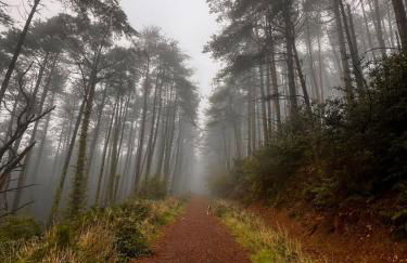 Pelican House - Photo 32