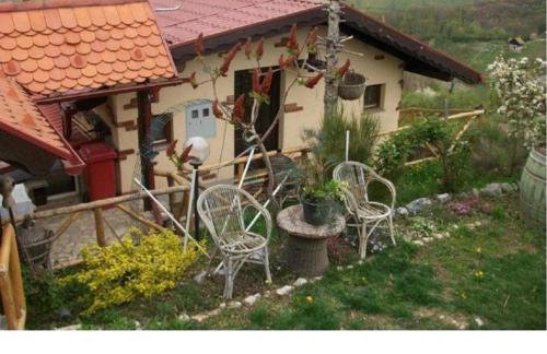 Kuća sa apartmanima Šemnica - za odmor i proslave! - Photo 11