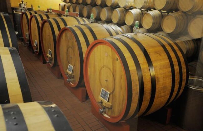 Tenuta Santo Pietro - Foto 58