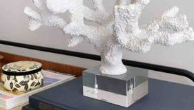 Apto Novo Bombinhas - UMA QUADRA DO MAR! - Foto 3