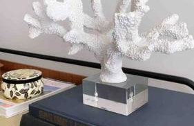 Apto Novo Bombinhas - UMA QUADRA DO MAR! - Photo 3