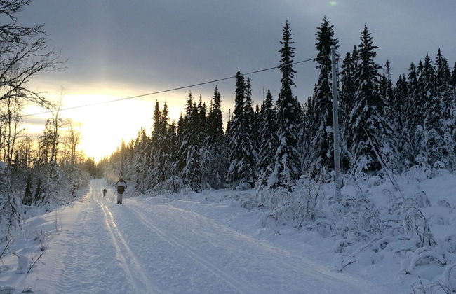 Holiday Home Fjätervålen Fjätstigen - Foto 15