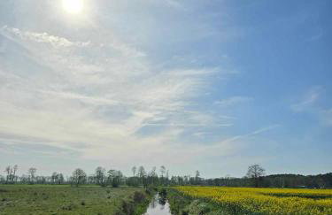 zielono mi - Foto 56