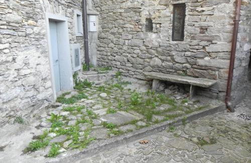 Vista Lago - Foto 30