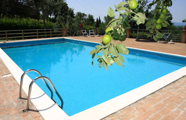 Agriturismo Villa Opera - Foto 29