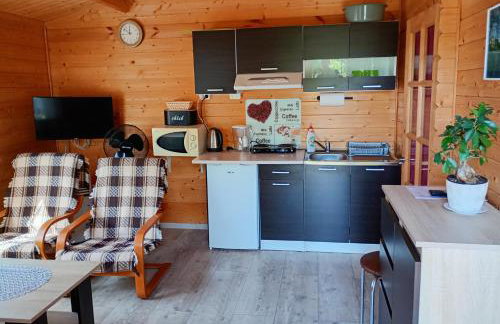 Domek letniskowy w Nadolu nad jeziorem Żarnowieckim - Foto 15