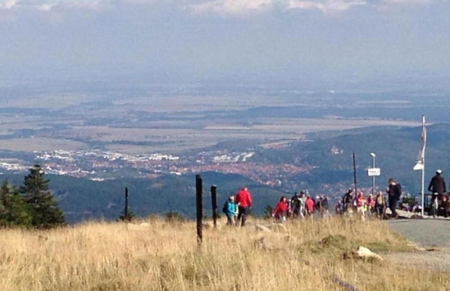 Holiday Home in Hasselfelde With Private Terrace - Foto 24