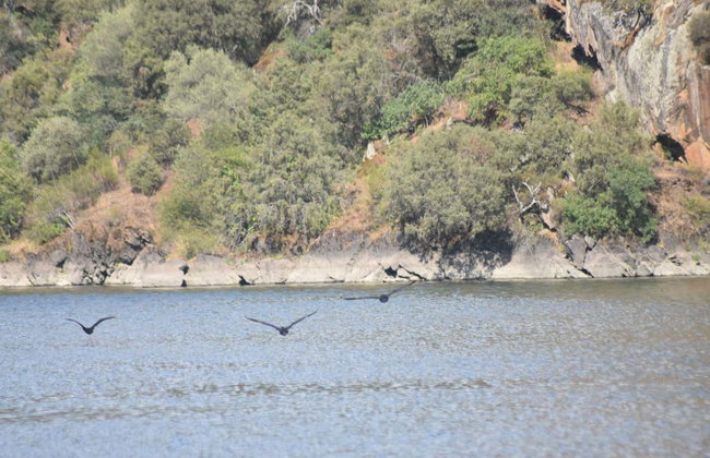 Paseo en barco por el Parque Natural del Duero Internacional - Foto 16