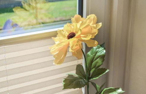 Holiday Home Zum Anleger H - Foto 10