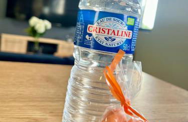 Le Loft Manhattan, en centre ville, proche Sainte Bernadette avec Parking, PRIMO C0NCIERGERIE - Foto 5