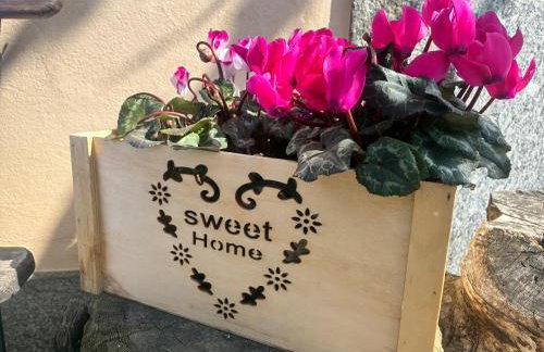 Il gatto e la volpe 1 - Foto 49