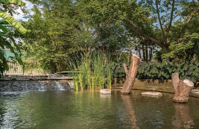 Casa Ave del Risco (Villa con río y cascada al interior) - Photo 51