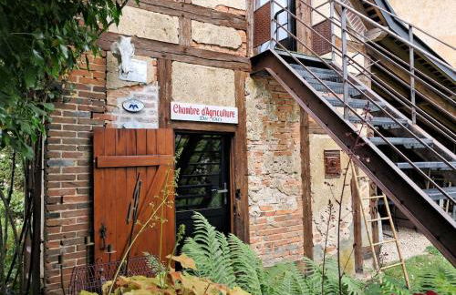 L'atypique du buisson de la gariole - Foto 5