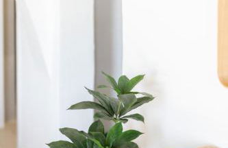 Harokopou Studios - Foto 71