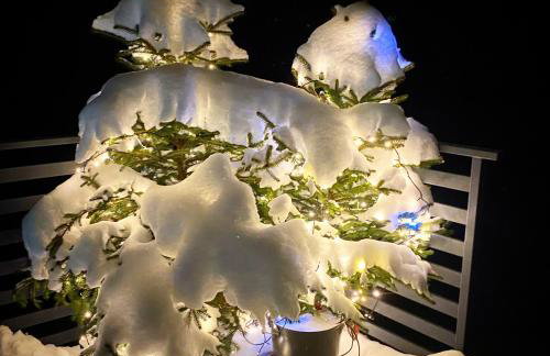 CzillChata - dom z balią - Foto 50