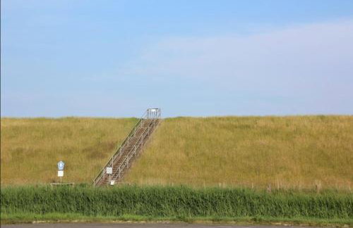 Tohuus - Photo 28