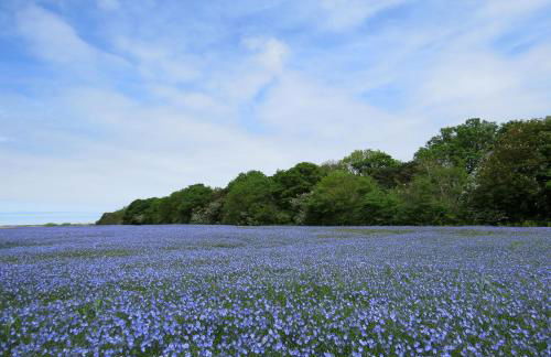 Evergreen - Photo 58