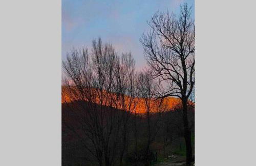 La Pellegrine, Parc national des Cévennes - Foto 45