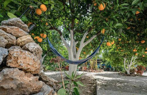 Olga's Organic garden Home for a couple! with Wifi & AC - Foto 22