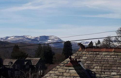 Foxgloves apartment Windermere - Foto 13