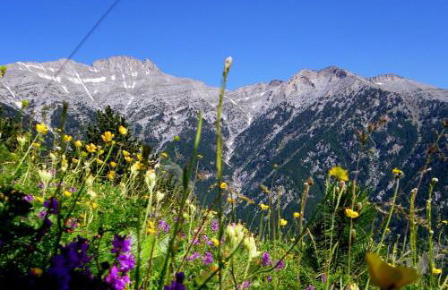 Χαμένος στον παράδεισο - Foto 31