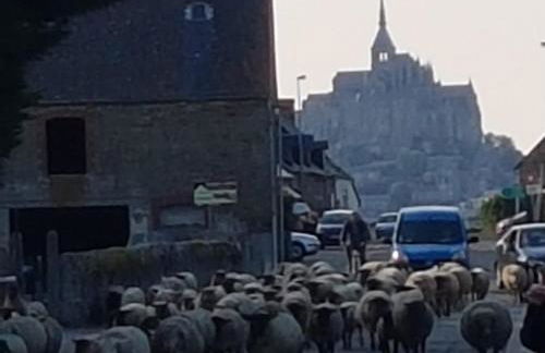 Au Mont Chez Nous # Jacuzzi & Sauna # - Foto 32