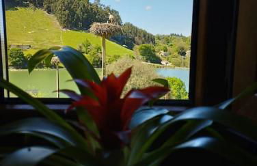 PequeñoCabárceno - Foto 67