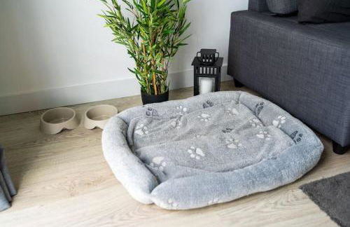 Casa Do Sol - Photo 38