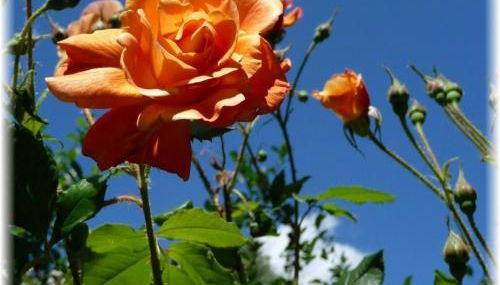 Haus Wattenblick OG - Foto 5