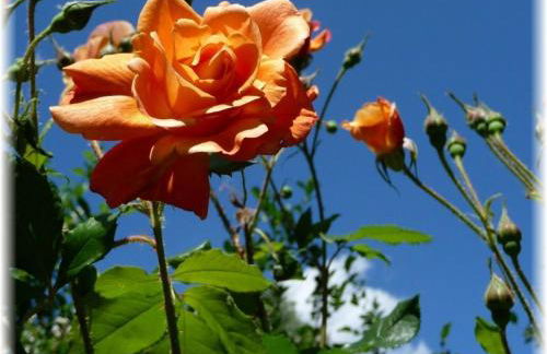 Haus Wattenblick OG - Foto 5