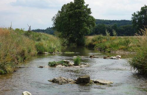 Appartement - Ferienwohnung - FeWo Obernkammer - Foto 13