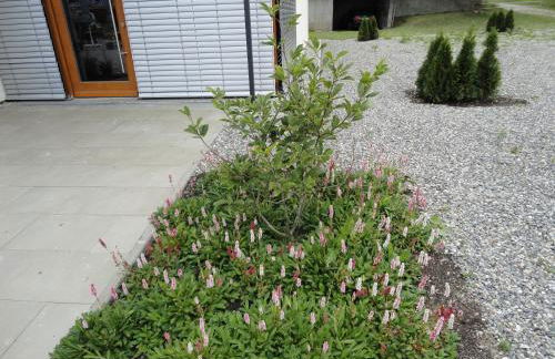 Gasthof Reiterstuben - Foto 39