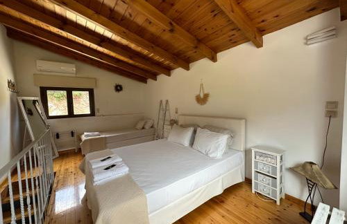 Μούσες - Photo 34