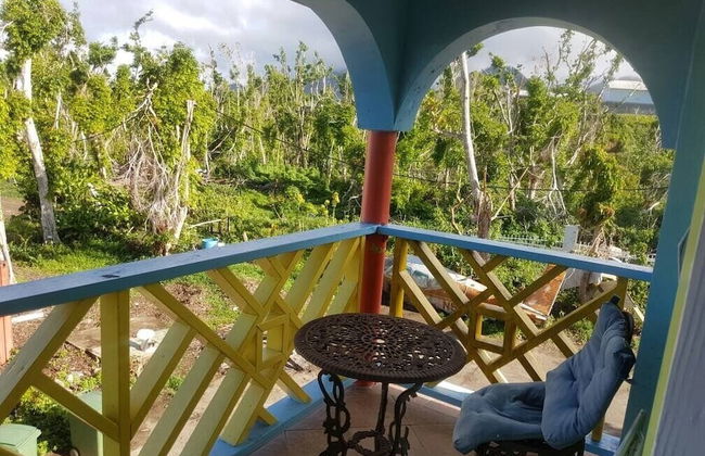 Coco Mango Suites - Photo 62