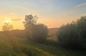 Oase am Deich - Photo 63