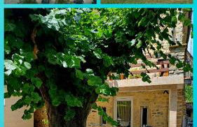 Gîte 2 "Le Tilia " aux magnolias 3 étoiles - Foto 1