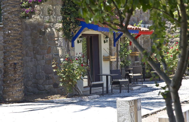 Palmiye Tepesi - Foto 2