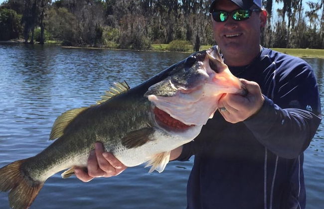 Camp Mack Lodge, Marina & RV Resort - Foto 74