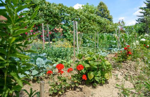 Apartment Mia - Foto 49